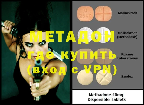шишки Абаза