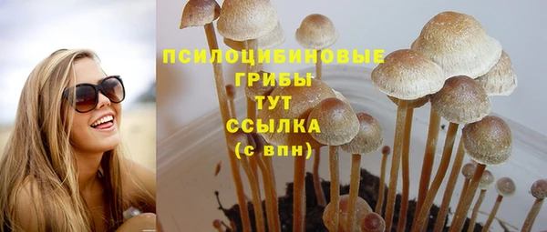 эйфоретик Алексеевка