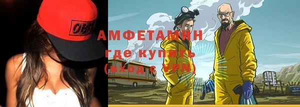шишки Абаза