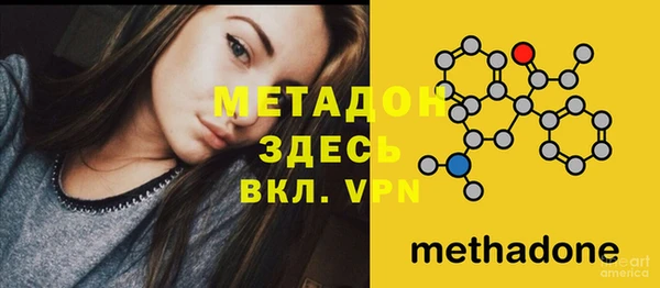шишки Абаза
