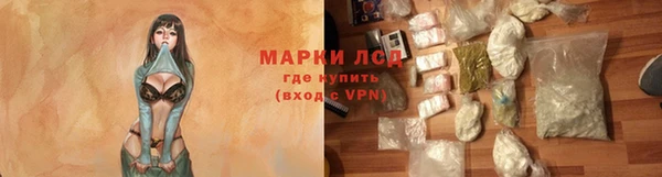 шишки Абаза