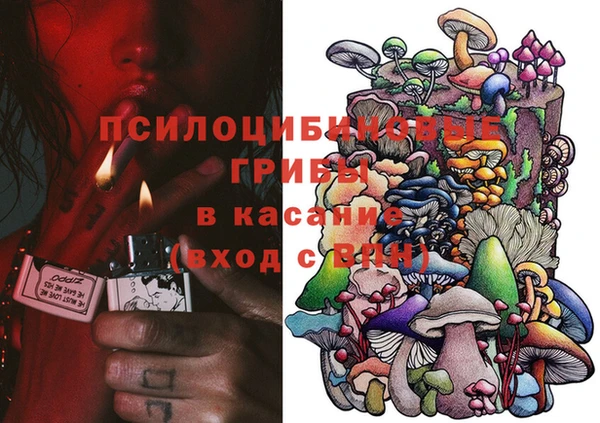 шишки Абаза