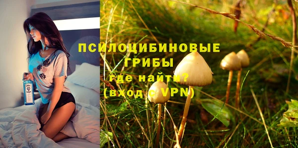 шишки Абаза