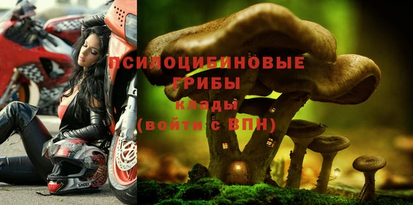гидра Абдулино