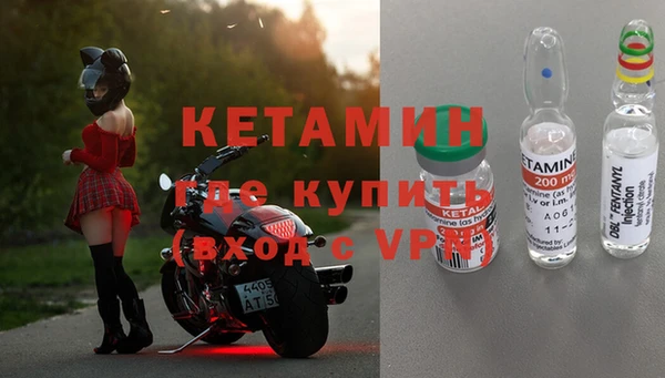 шишки Абаза