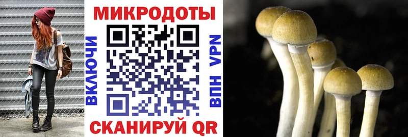 хочу наркоту  Отрадное  Галлюциногенные грибы Psilocybine cubensis 